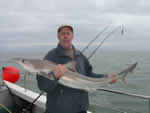 Tope Fishing Aboard the Jenna-D