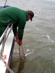 Tope Fishing Aboard the Jenna-D