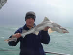 Tope Fishing Aboard the Jenna-D